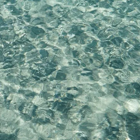 Ulivo Al Mare, Olbia, *