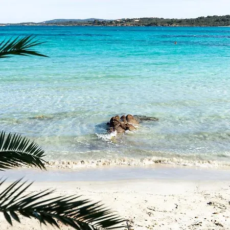 Ulivo Al Mare, Olbia, Apartamento *