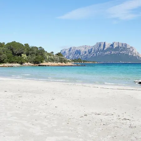 Apartment Ulivo Al Mare, Olbia, *