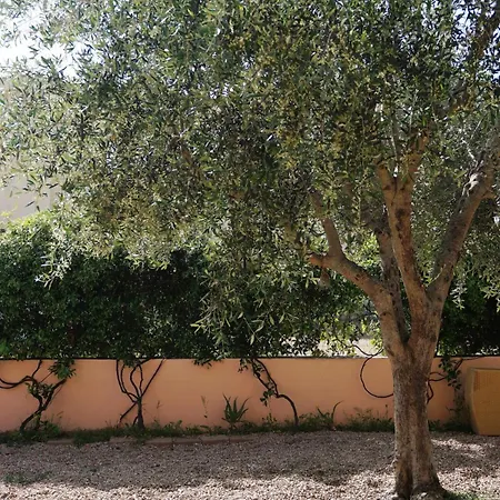 Ulivo Al Mare, Olbia, Murta Maria