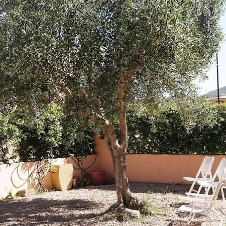 Apartment Ulivo Al Mare, Olbia, *