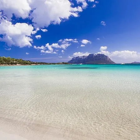 Ulivo Al Mare, Olbia, Murta Maria