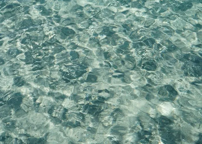 Ulivo Al Mare, Olbia, *