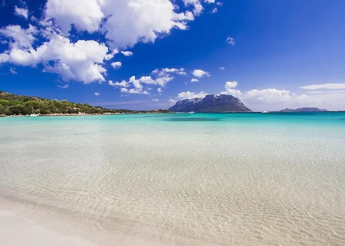 Ulivo Al Mare, Olbia, ムルタ・マリア